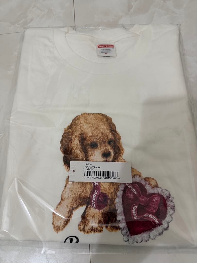 【長谷川】 supreme Dust Tee Tシャツ XL