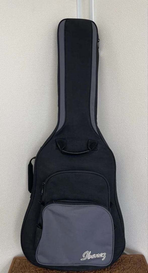 【E】Ibanez Art Wood RLGツリーオブライフインレイ ケース付き