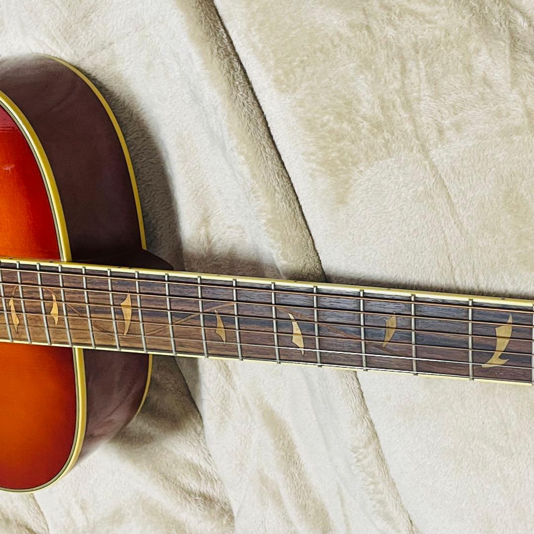 Ibanez アコースティックギター AC38-HS ツリーオブライフ