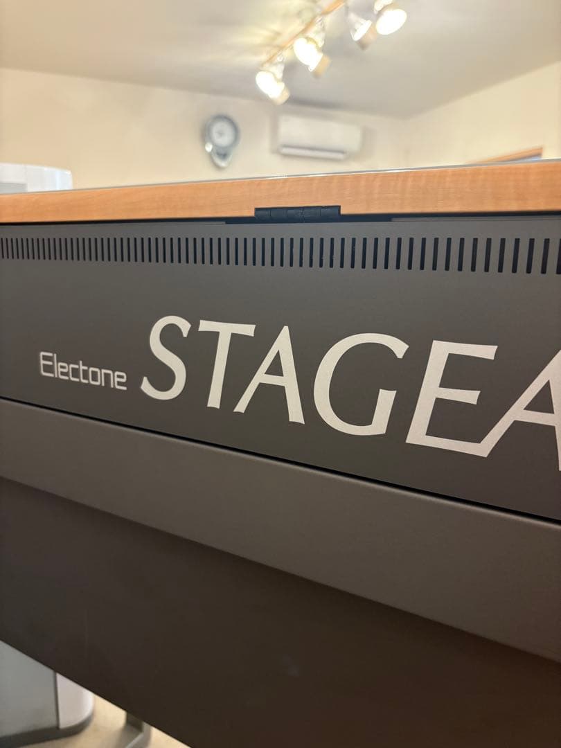 YAMAHA STAGEAカスタム　ELS-01CH 2012年バイタライズ済