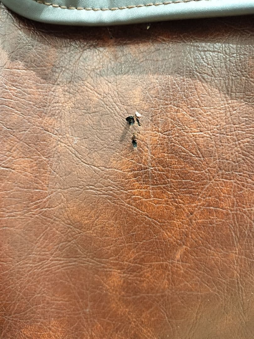 [ジャンク品]Greco SUPER SOUNDS アイボリー