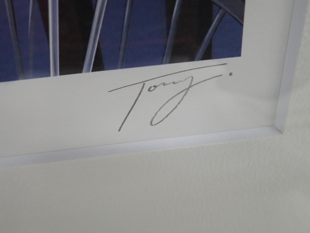 ⑮新品・保証書付 Tonyトニー「うたかた浪漫す」ミクスドメディア アールビバン