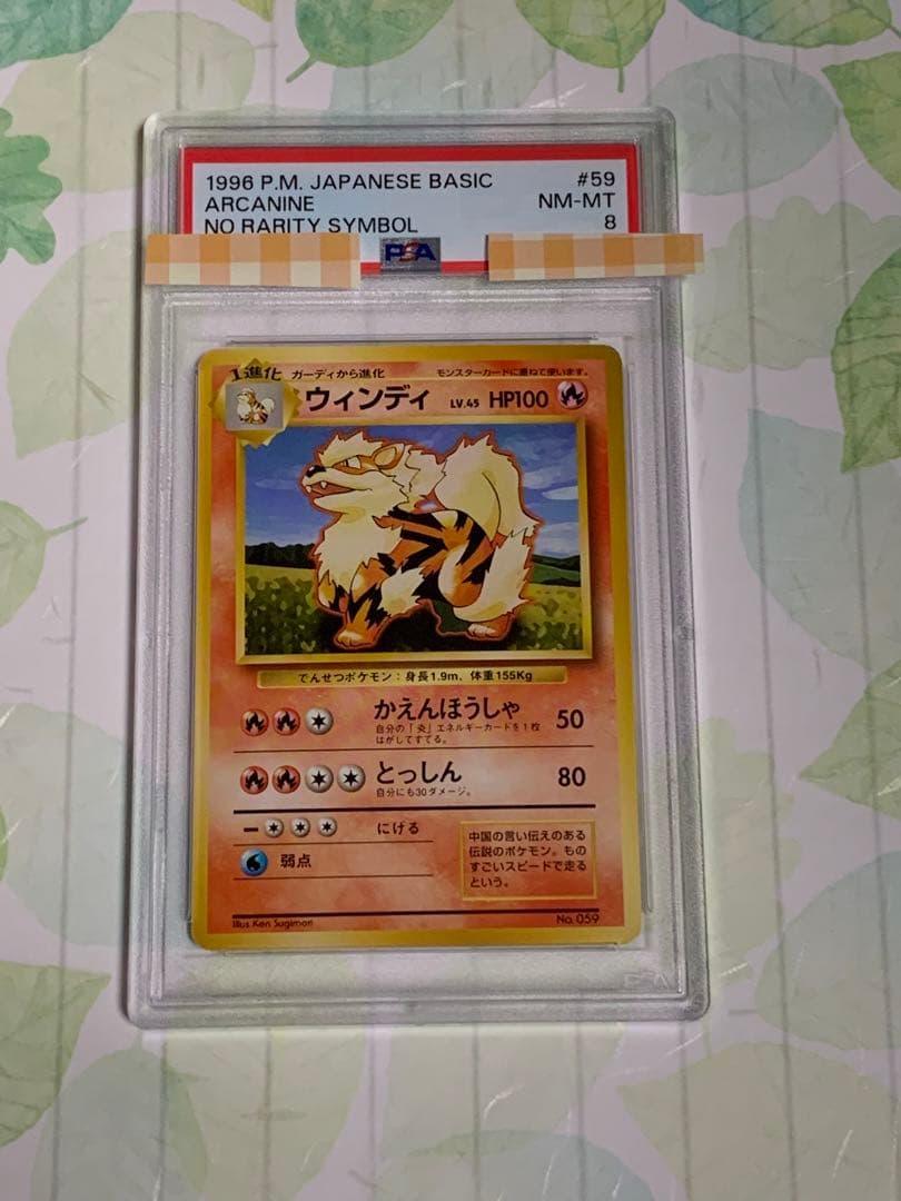 ウィンディ初版　旧裏　1996年　PSA8