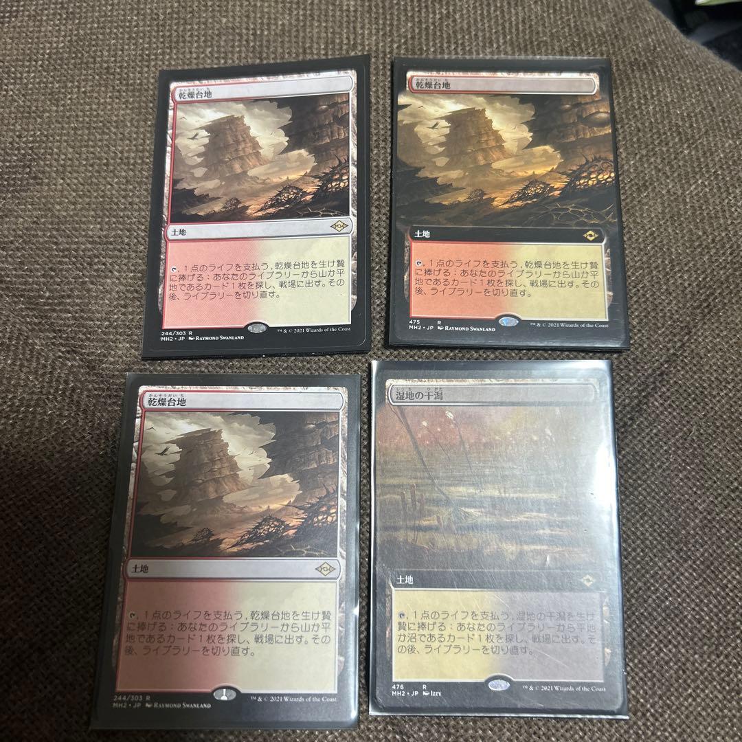 乾燥台地、湿地の干潟　計4枚セット