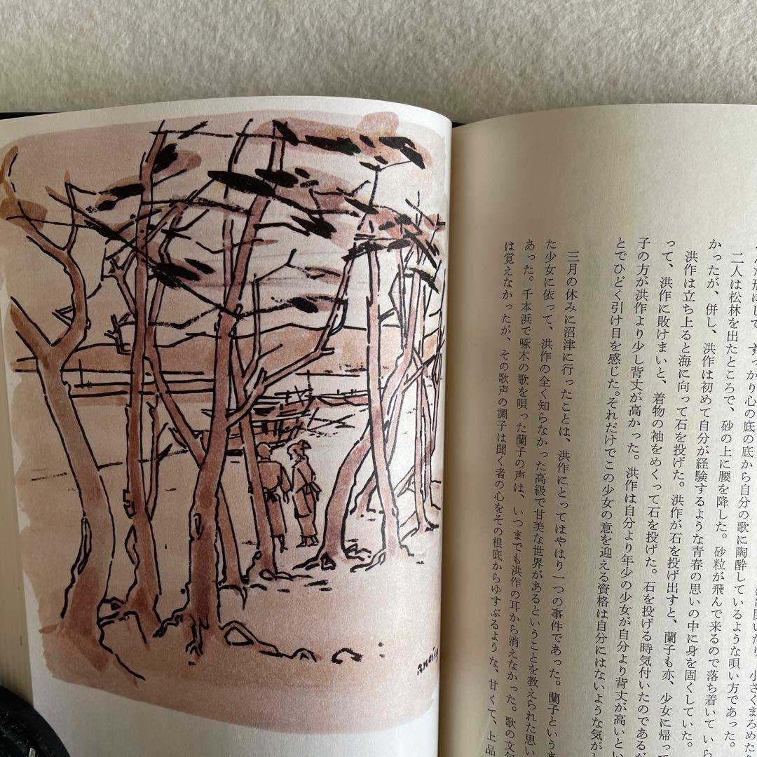 【美本・限定1000部の内256番総皮革特装版サイン入り】しろばんば　井上靖著