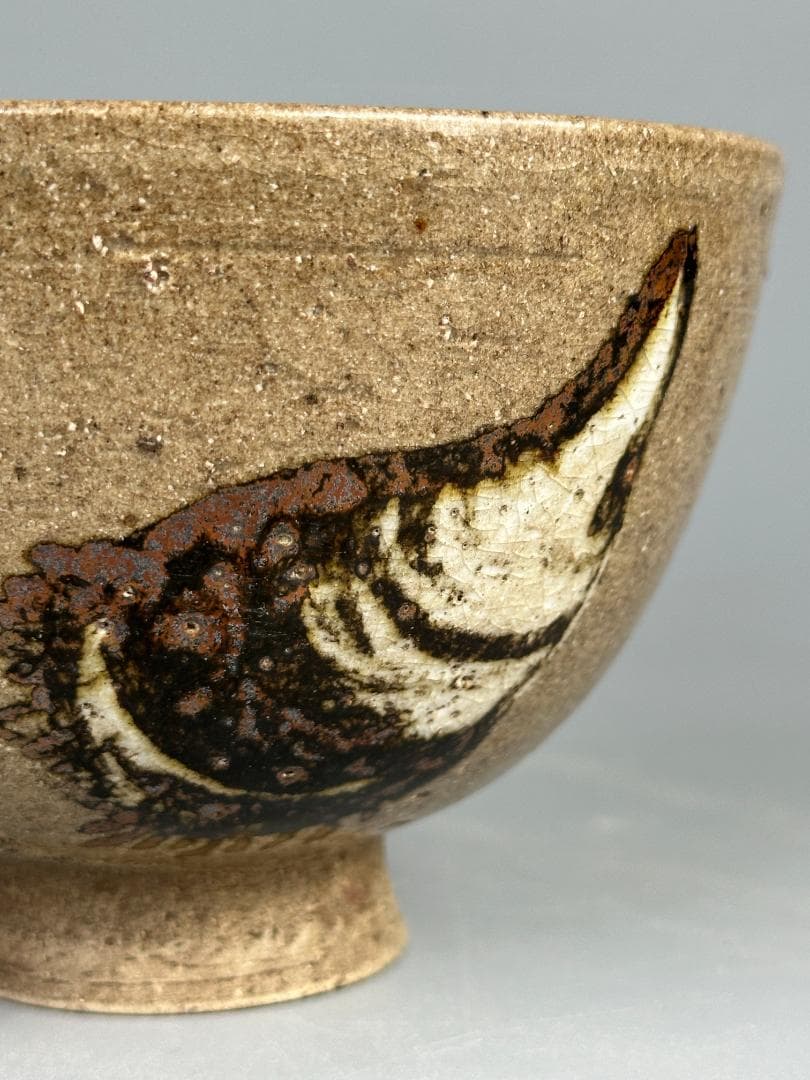 日本美術 尾形乾山写 茶碗 湯呑み 貝図茶碗 木箱入り