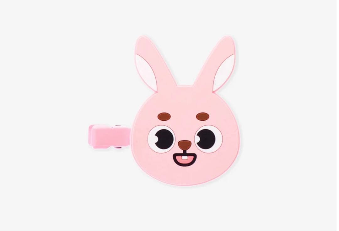 完売♡新品♡DAY6 Wonpilヘアクリップ PIL ウォンピル