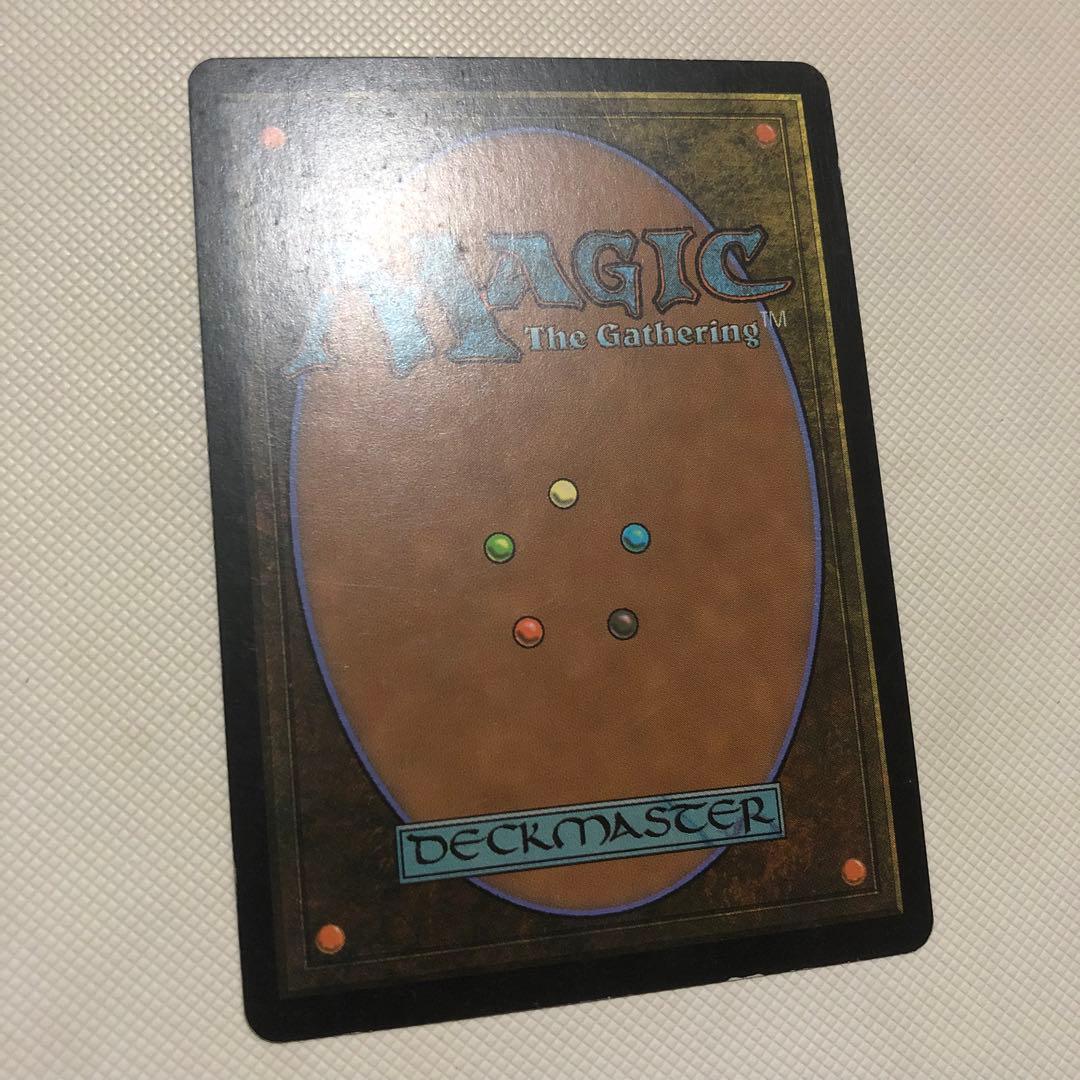 霧深い雨林 溢れかえる岸辺 汚染された三角州 mtg ロシア語 フェッチランド