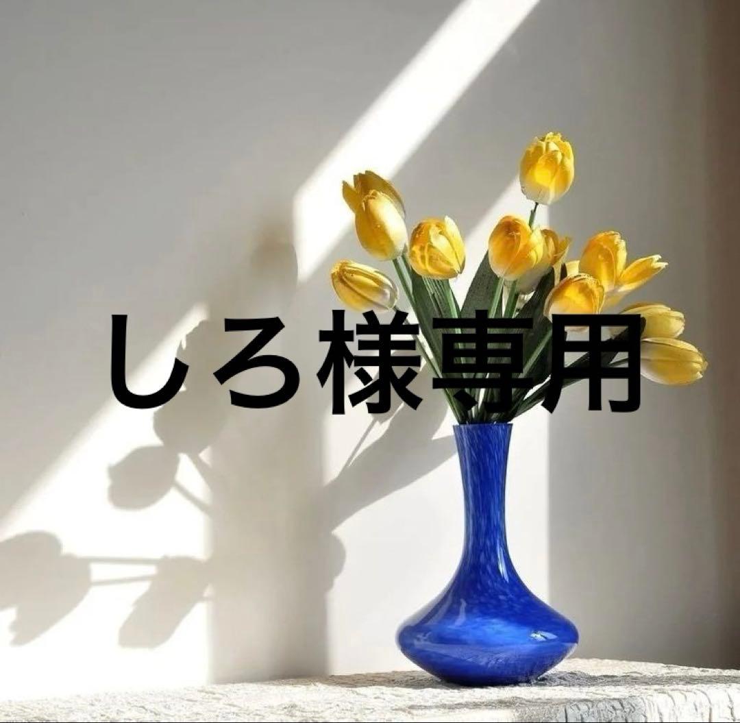 しろ　58