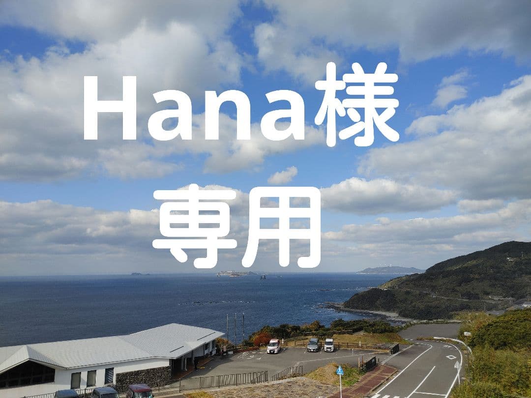 ネックレス2点