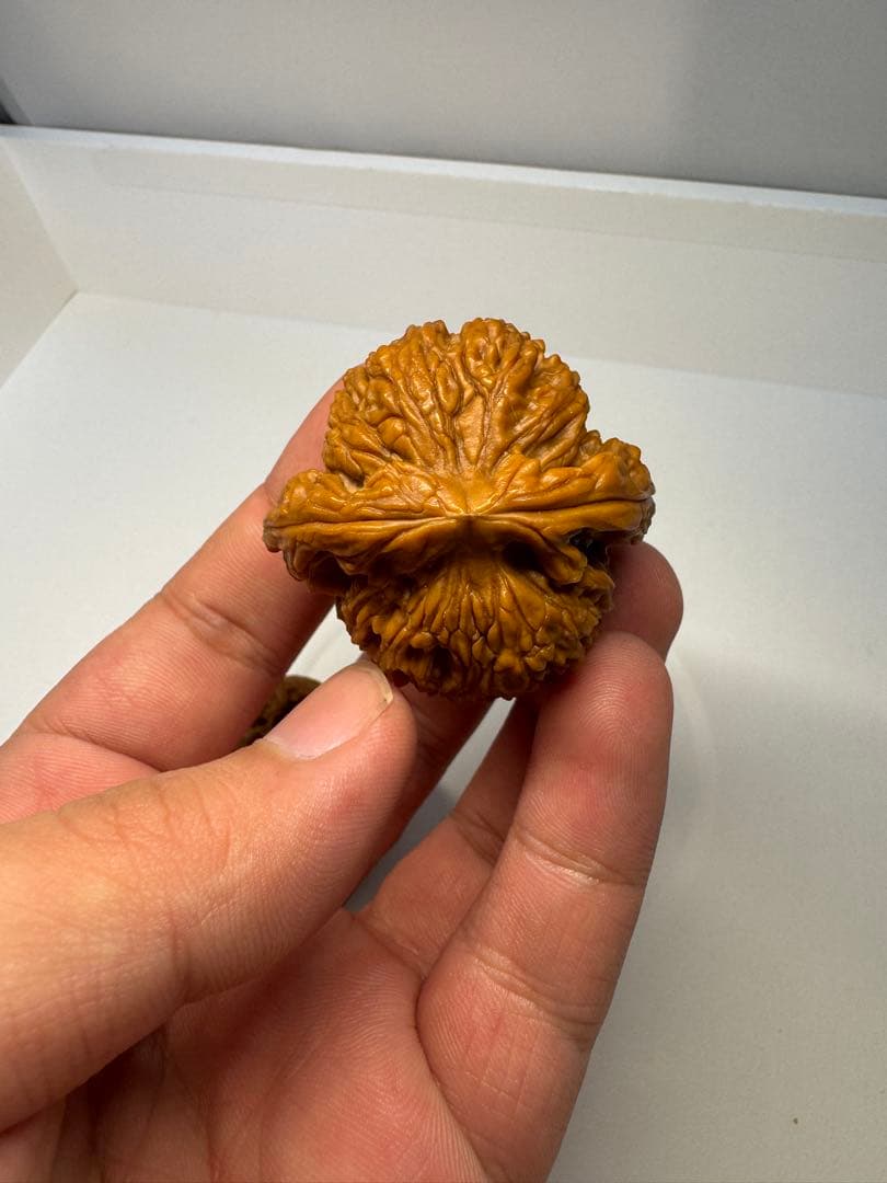 希少文玩核桃 南疆石 極太楞特徴