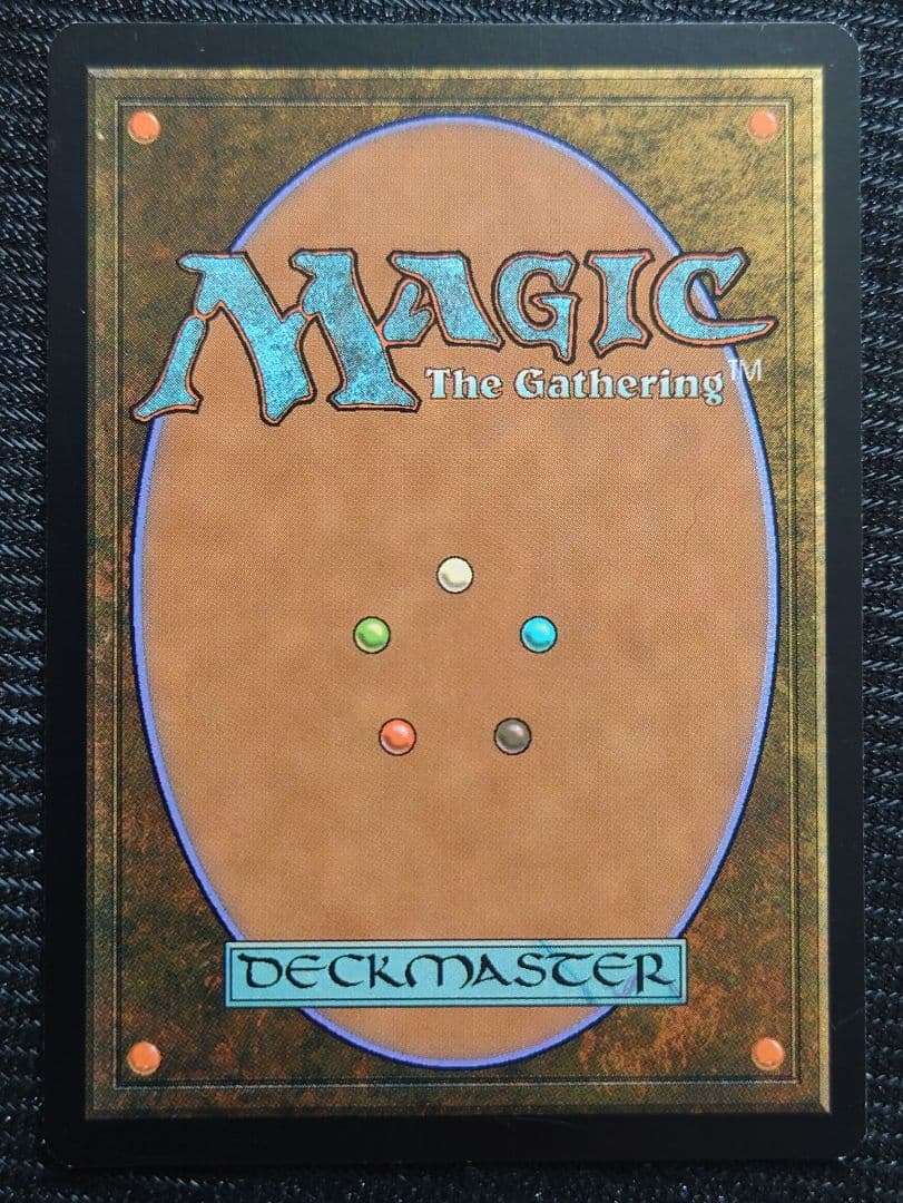 mtg 稀少 サインド 英語版 始祖ドラゴンの末裔 tsp