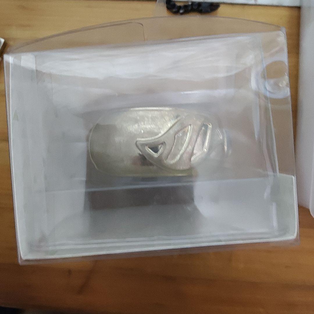 Pokémon LEGENDS Z-A バングル