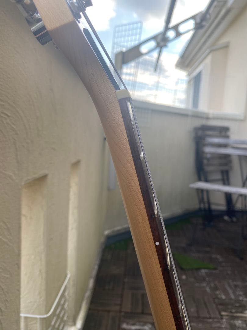 aria pro ii MAC STD/SSH(アリアプロⅡ)