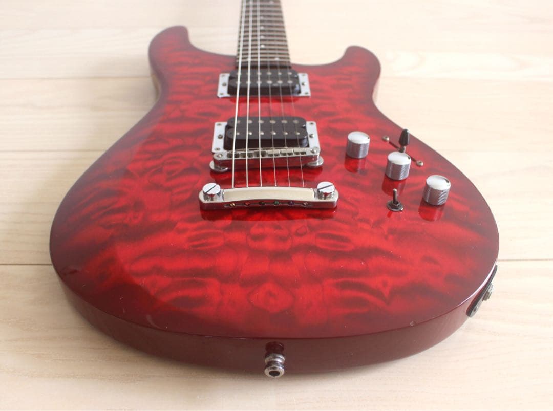 Fernandes APG-65S サスティナー搭載