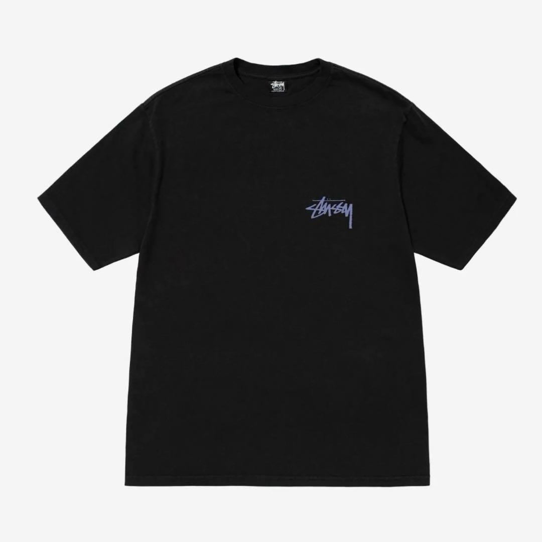 ❗️期間限定SALE❗️ステューシー スケートTシャツ ブラックXL