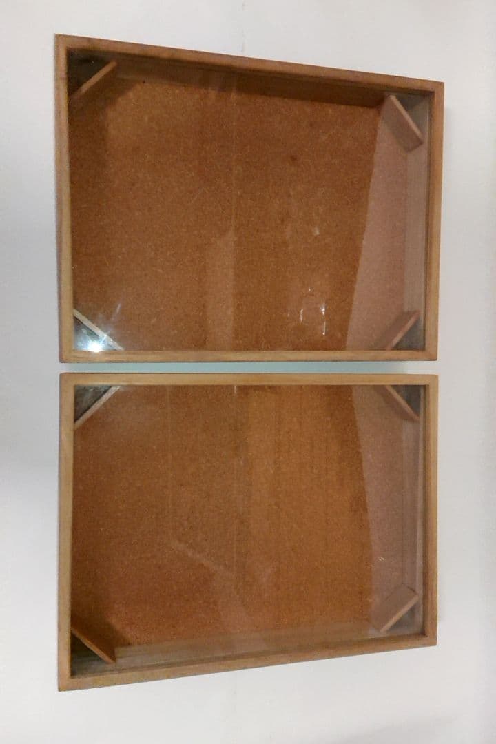 ①大型 標本箱 ドイツ箱 桐箱 展示ケース 観賞用 2個セット■蝶々 昆虫 図鑑