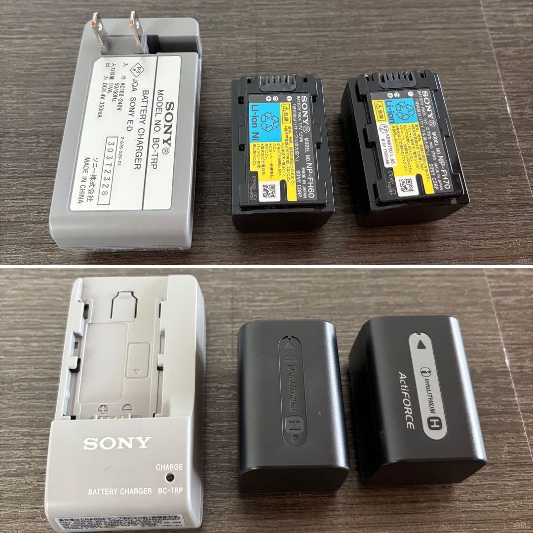 SONY HDR-CX520Vデジタルビデオカメラ おすすめアクセサリーキット付