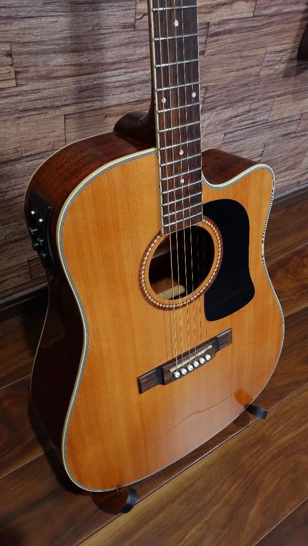 Washburn d10sce　エレアコ