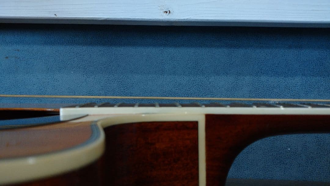 Washburn d10sce　エレアコ