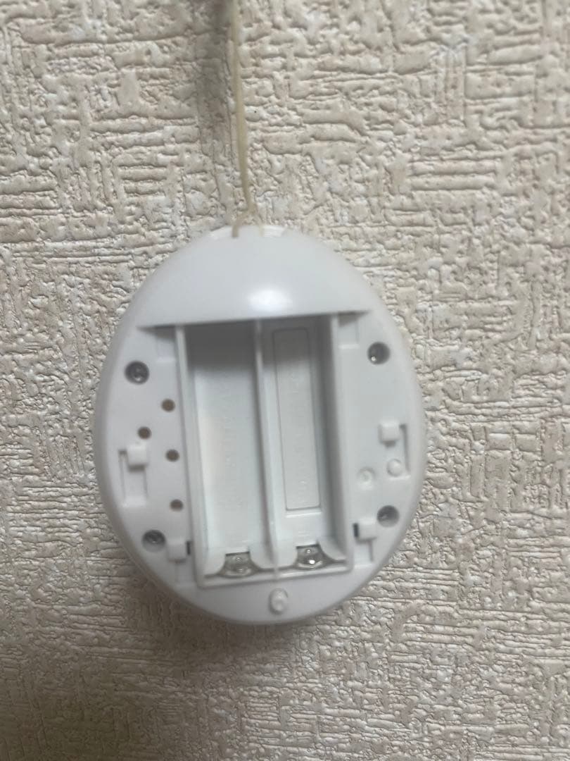 たまごっちミーツパステル