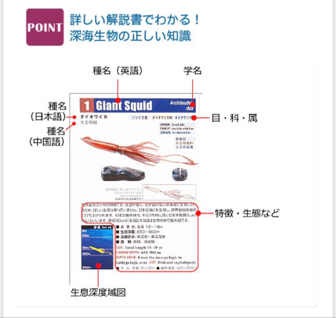 即日発送　新品未開封 カロラータ 立体図鑑 深海生物プレミアム ボックス