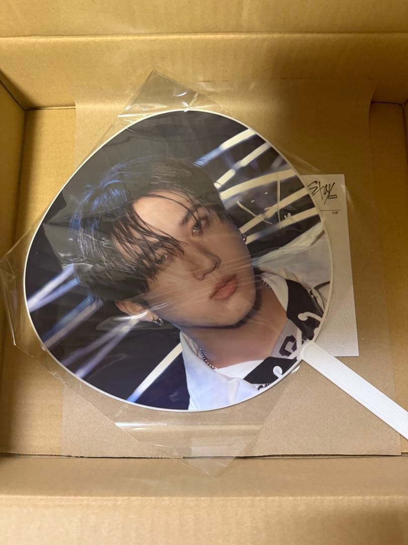 straykids chanbin チャンビン 直筆サイン入りうちわ