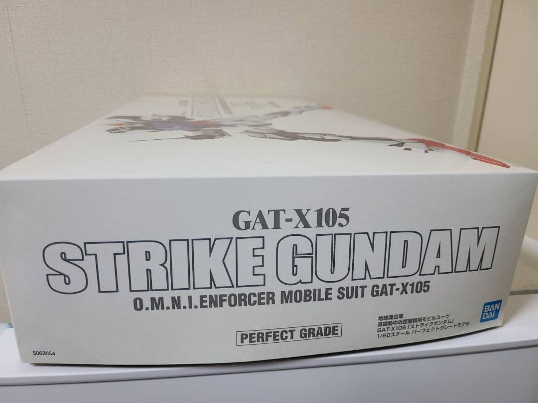 ハ*１様 未組立BANDAI GAT-X105 STRIKE GUNDAM PG