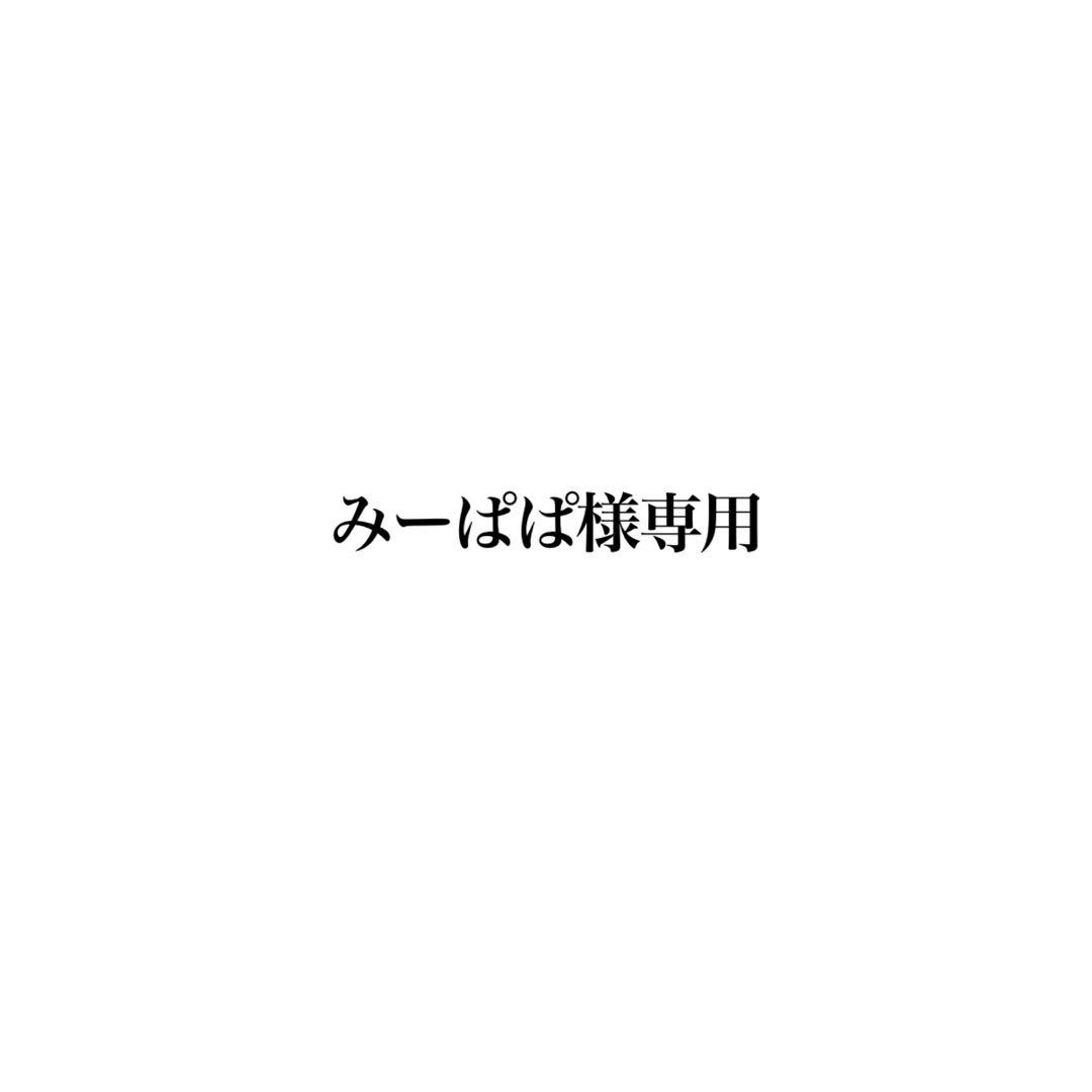 みーぱぱ