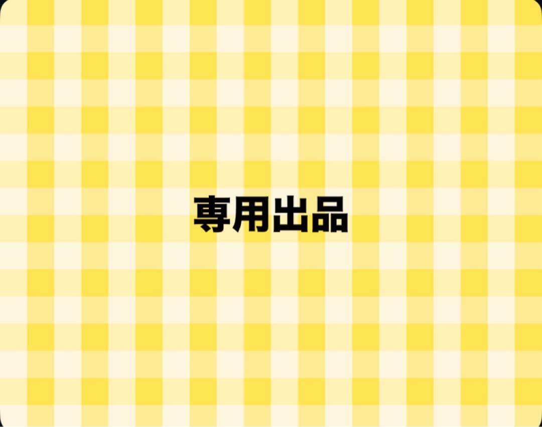スノグッズ　専用出品