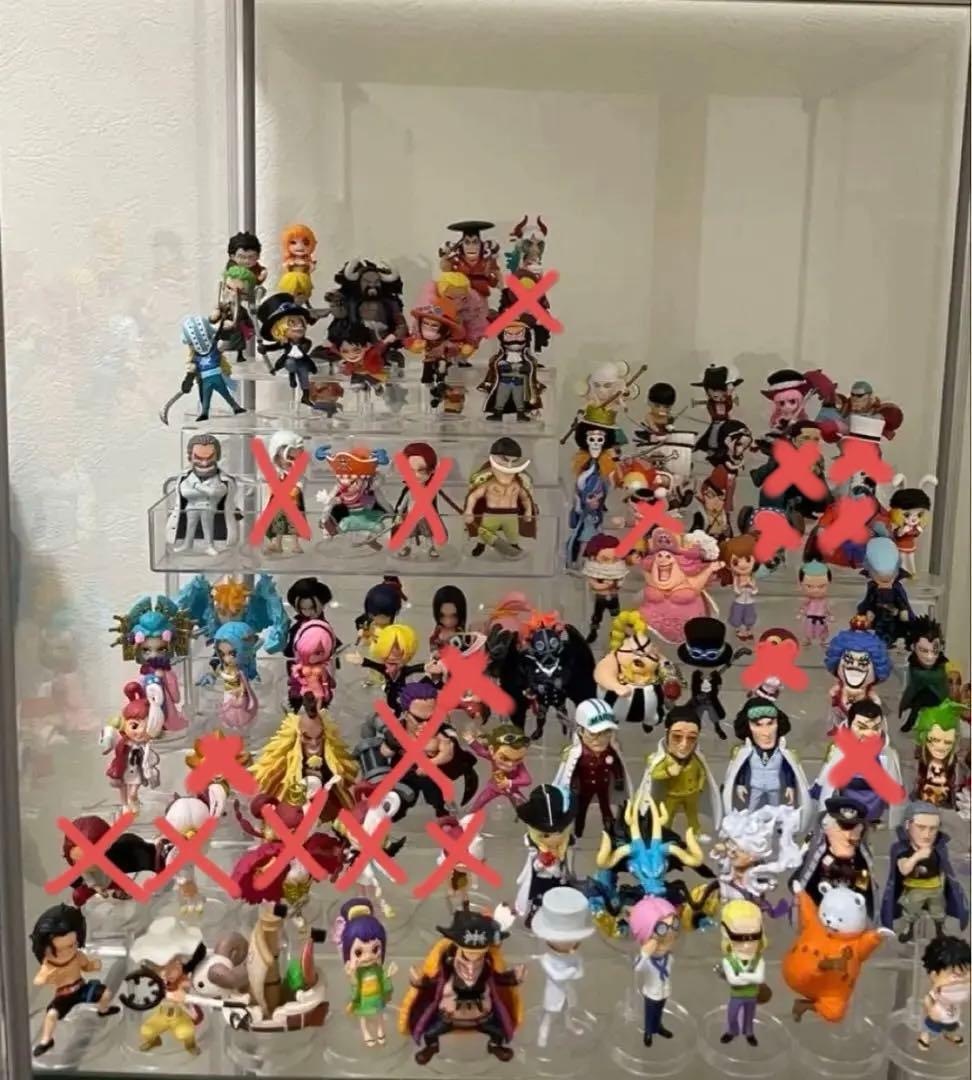 ワンピース　ワンピの実　113個