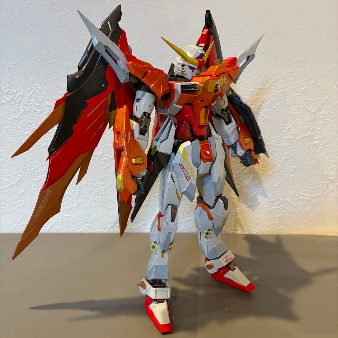 L BUILD メタルビルド ハイネ機 デスティニーガンダム