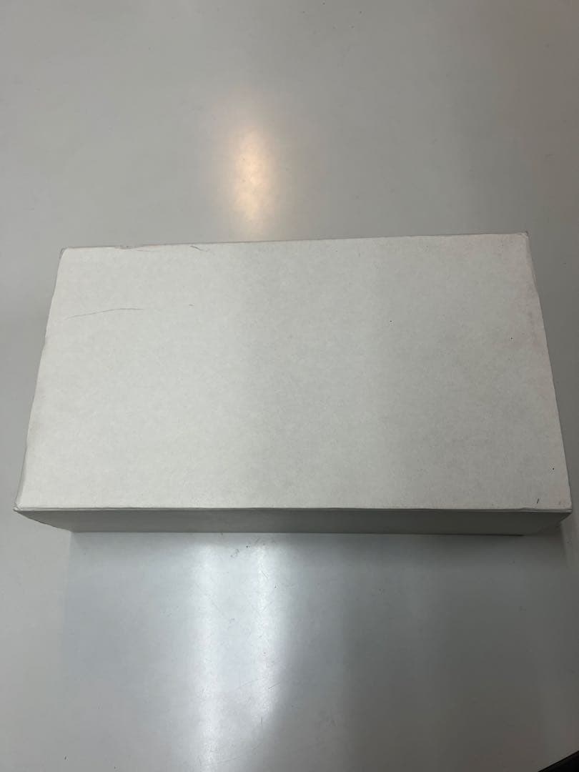 プラチナ万年筆 2000年記念 Limited Ed. パンダ