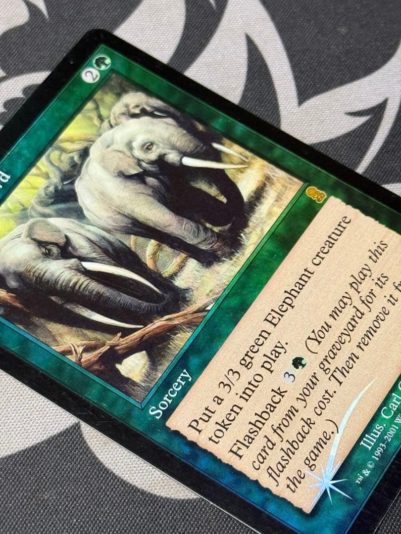 獣群の呼び声　英語　FOIL