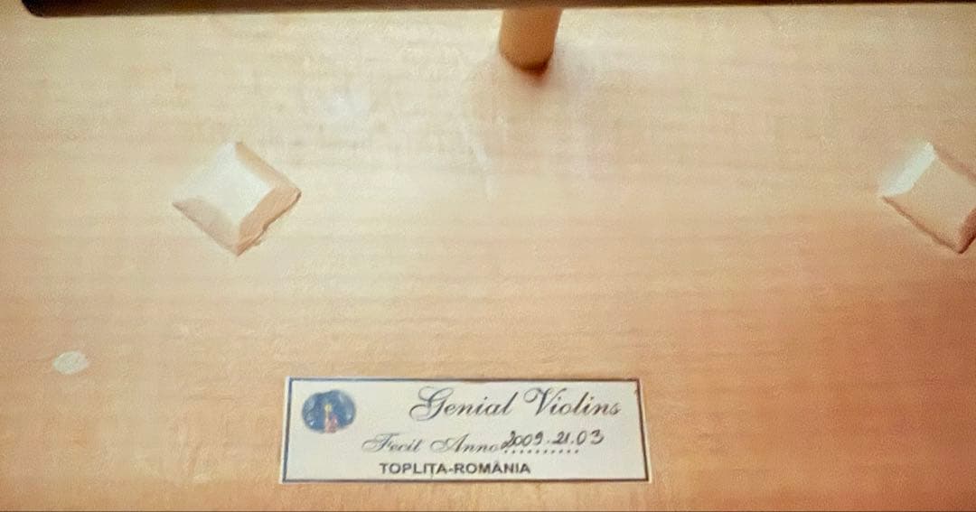 【希少】GLIGA GENIAL VIOLINS チェロ 4/4