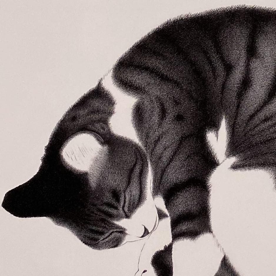 吉成信男、【ねこ】、希少な額装用画集より、新品額装付、状態良好