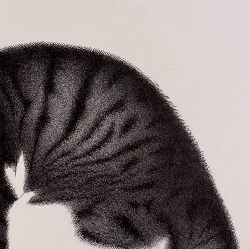 吉成信男、【ねこ】、希少な額装用画集より、新品額装付、状態良好