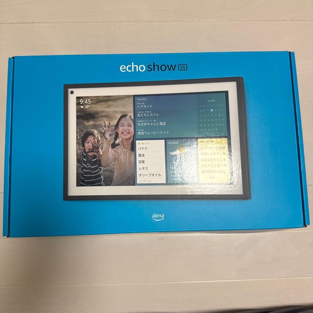 テレビ echo show 15