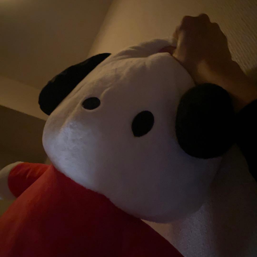 ぬい組