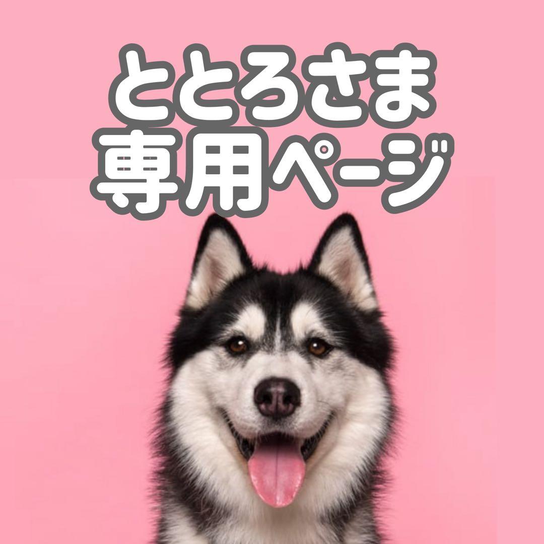 GFサ10◯●ととろページ●◯