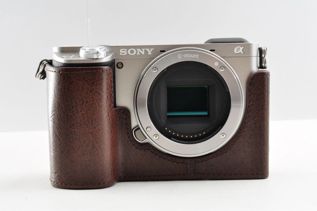 【ショット数1080回 / 美品】 Sony α6000 ダブルズームキット