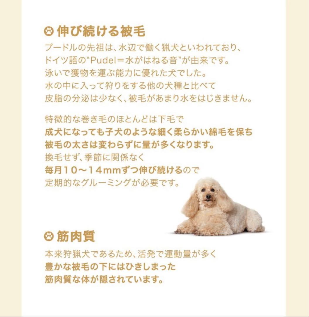 MIESESU　2袋