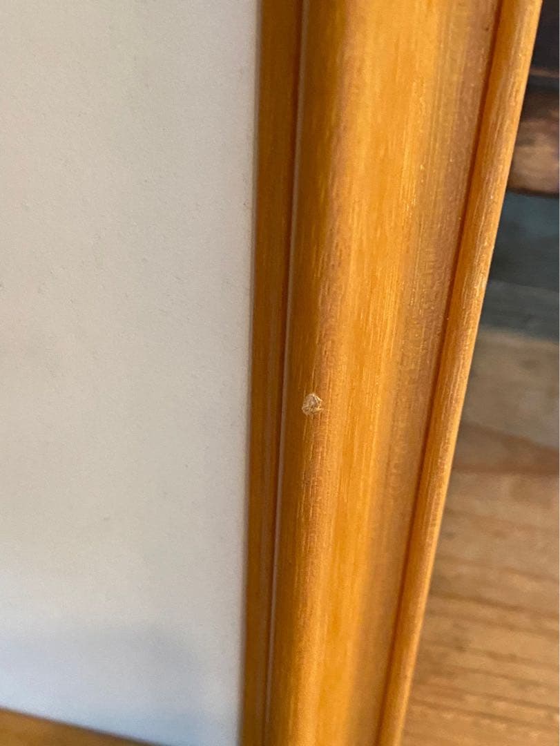 野菜果物＊ジャン•ジャンセン ひまわり 額縁 大判 リトポスター ムロール