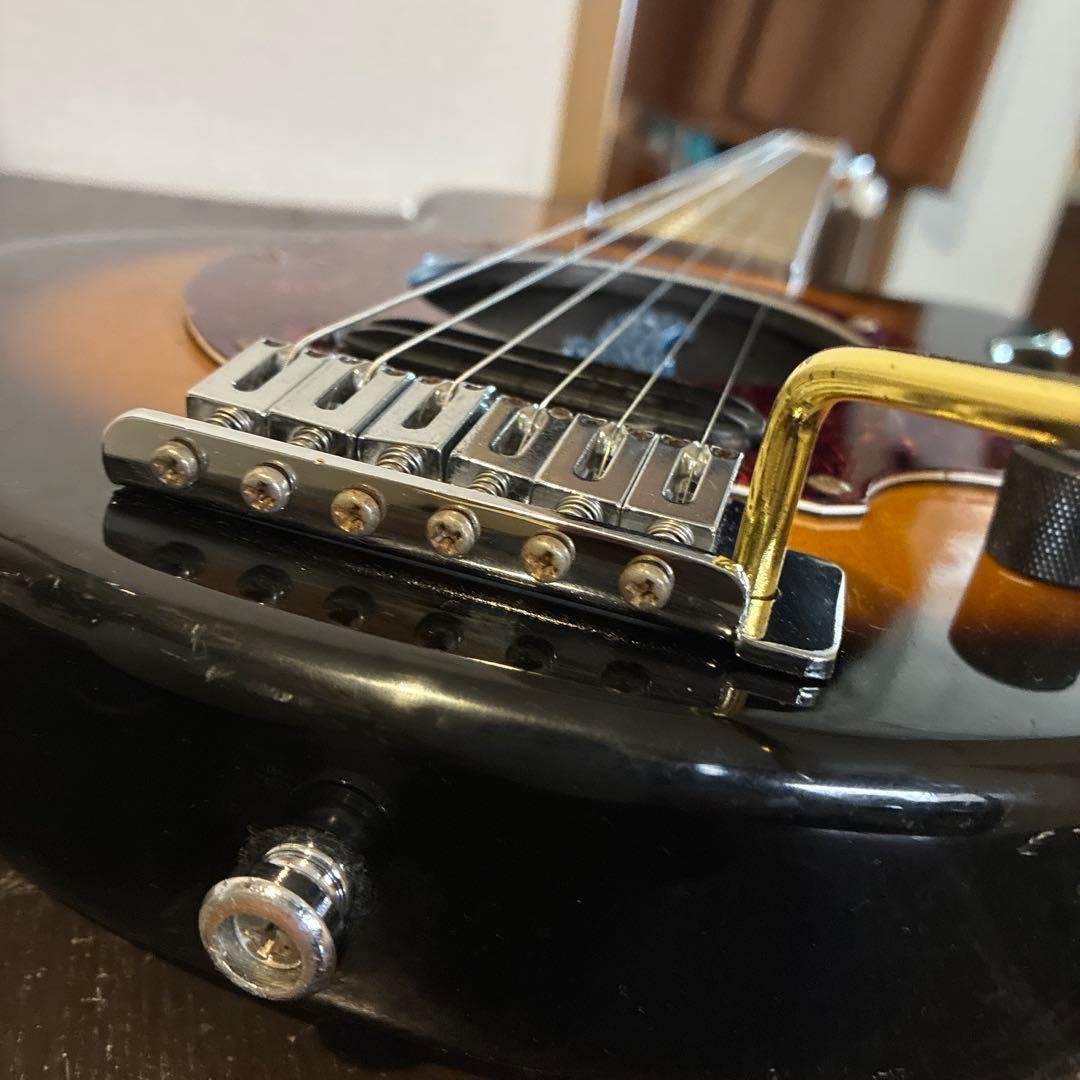 ピグノーズPGG100 サンバースト