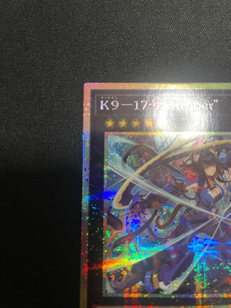 日本版　k9 17号リッパー　25thシークレット