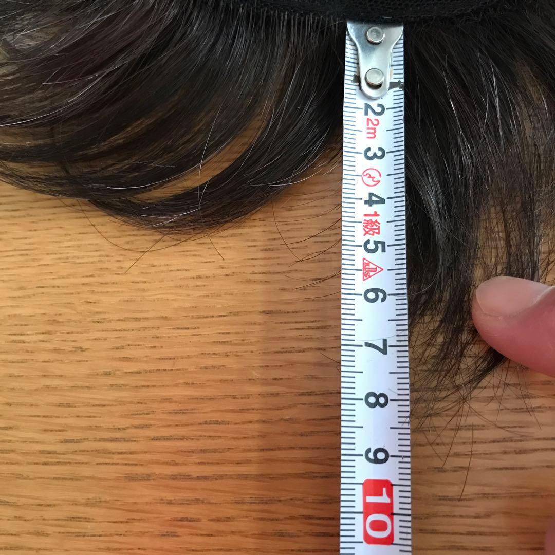 フェザー レオンカウィッグ EX-15 F4モダアクリル人毛