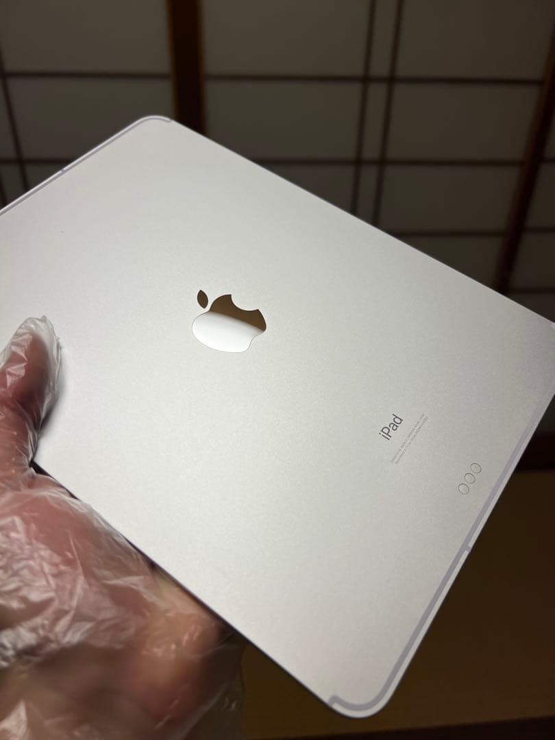 iPad Pro 11インチ 第1 512GB SIMフリー AppleCare