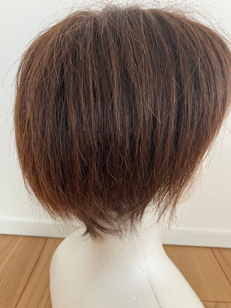 【お値下げ】医療用　フルウィッグ　人毛100％　ダークブラウン