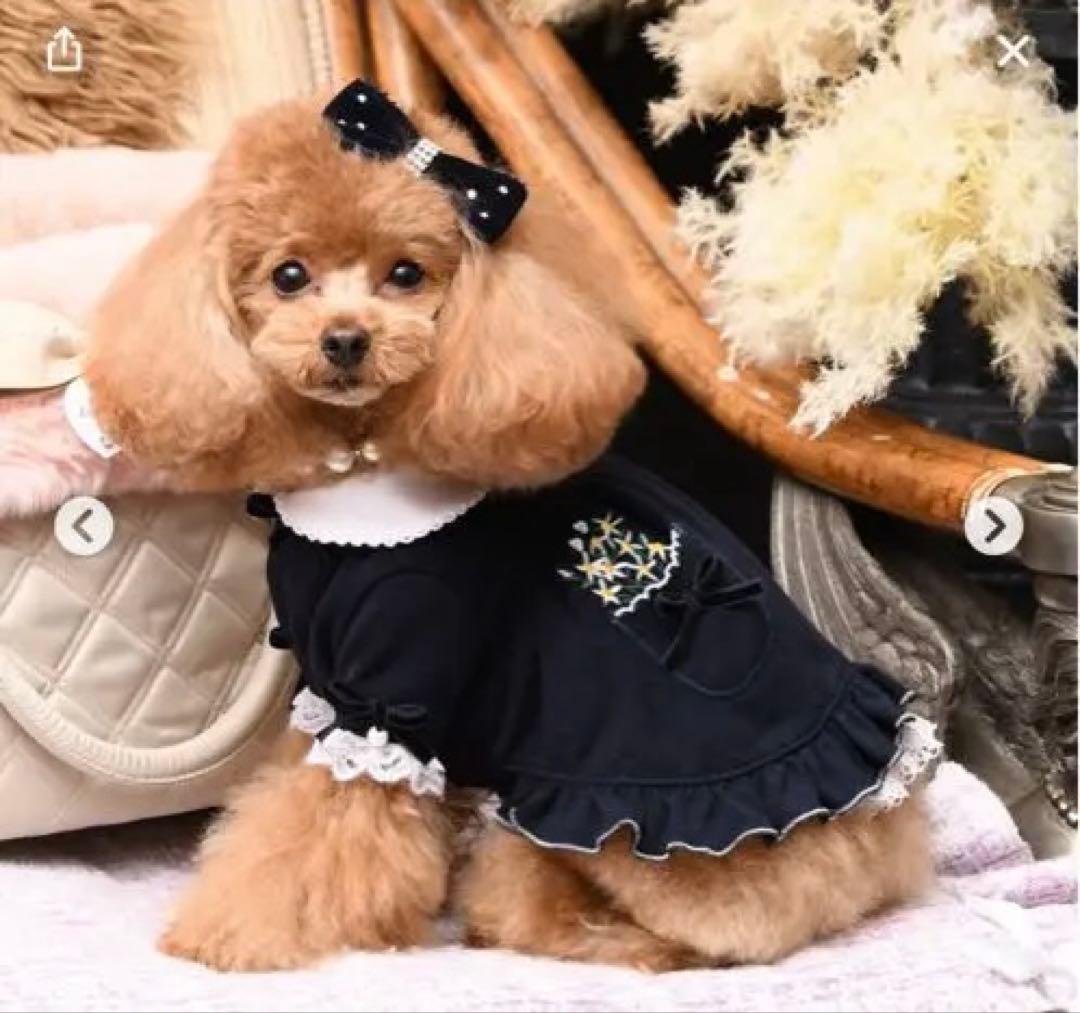 最終値下げ☆リュクスバーディ☆ロマンヌワンピース　SS Luxe birdie