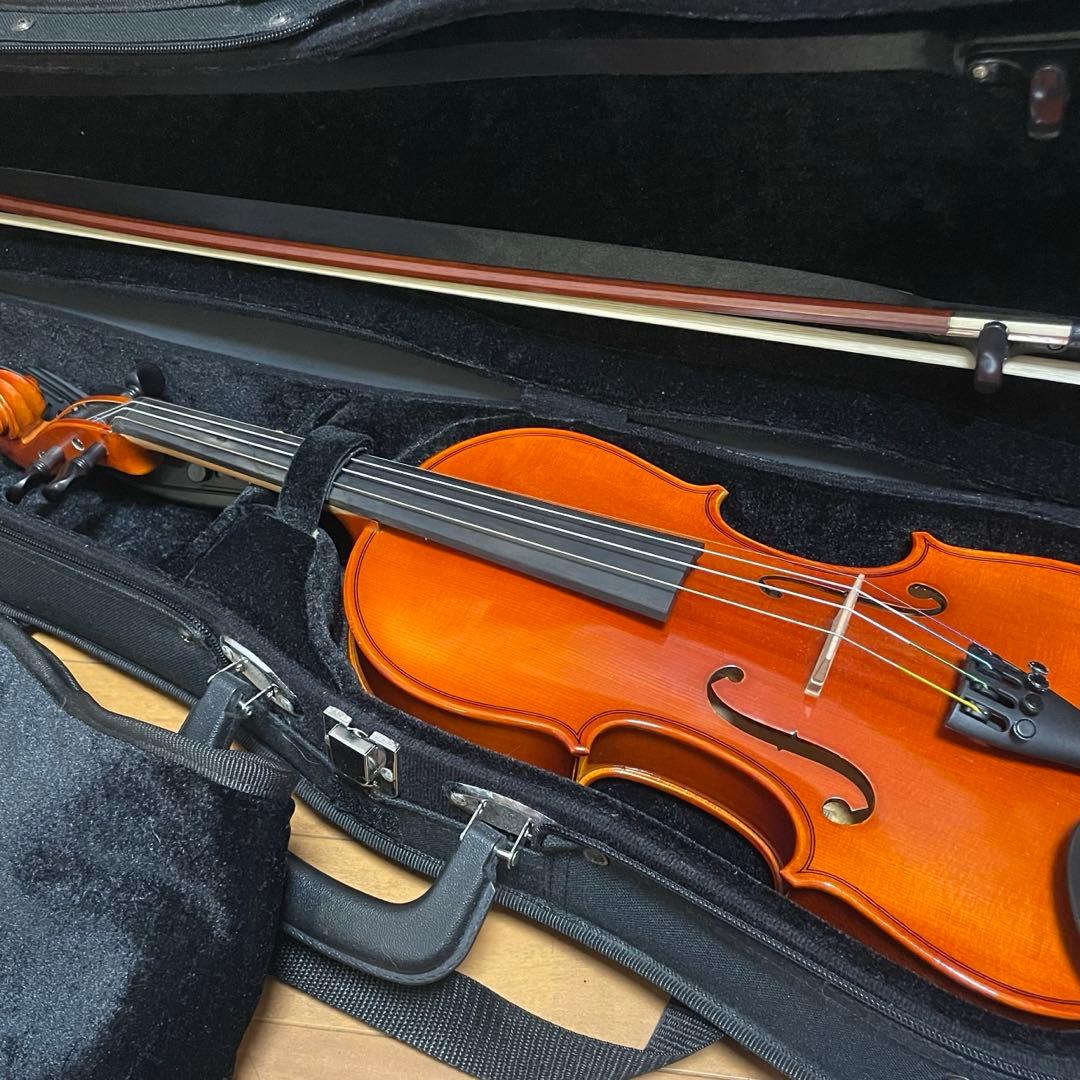 Andreas Eastman VL80 3/4 2016年